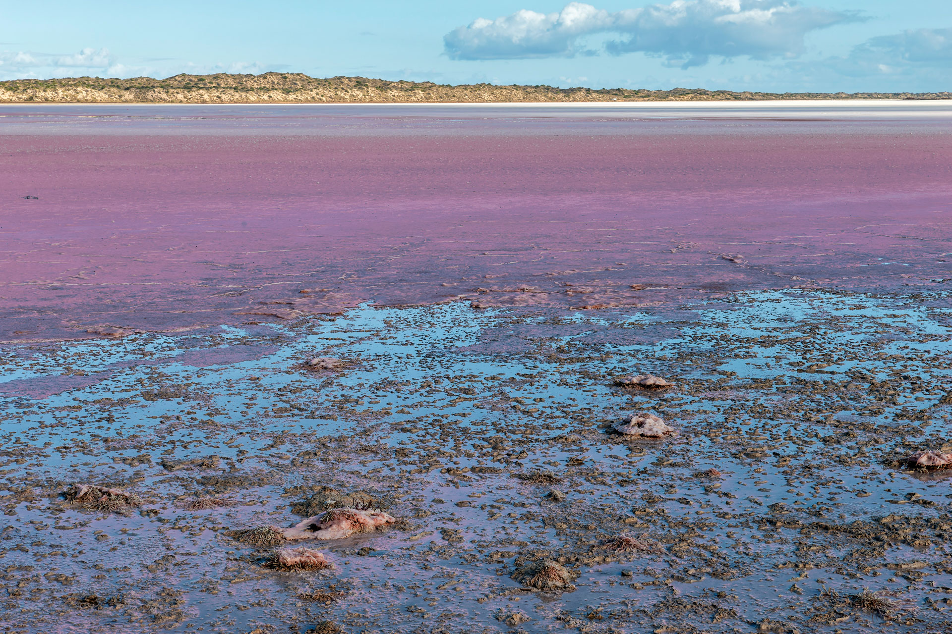 Yallabatharra - Pink Lake